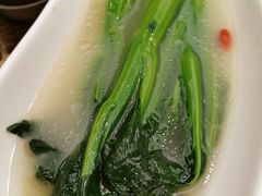 上汤富村菜心-点都德(大茶楼店)