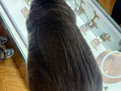 -Me Coffee下午茶艺术空间