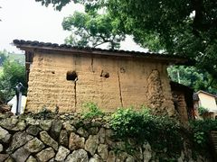 -杨家堂村