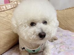 -爱侣宠医·鹦鹉专科·小型哺乳类·异宠专科(灵石路店)