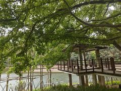 -广州市石门国家森林公园