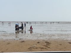 -刘家湾赶海园
