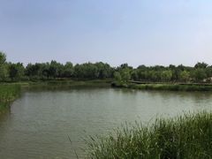 -东郊湿地公园