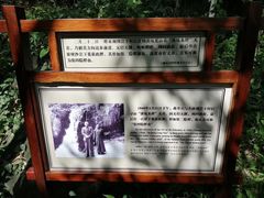 -溪口-滕头旅游景区