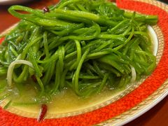 -菌之家·专业纯野生菌火锅·特色炒菌