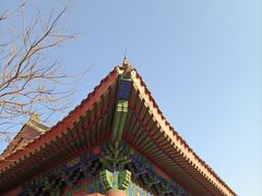 -天津妈祖文化园