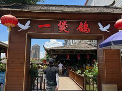 -一煲鸽