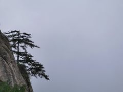 -陕西省红河谷森林公园