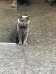 -飛凡TATTOO纹身•原创