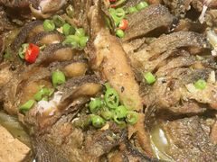 -老板恋上鱼(恒隆广场店)