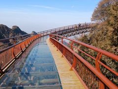 -少华山国家森林公园