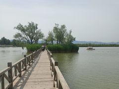 -野鸭湖国家湿地公园