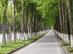 -上海长兴岛郊野公园