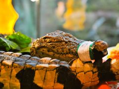 -漳州佰翔圆山酒店·圆山畔西餐厅