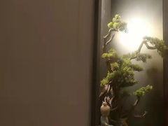 -39°·叁十九度·浴足SPA(龙湖滨江天街总店)
