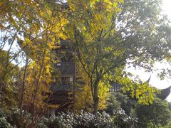DSCN4963-范蠡湖公园