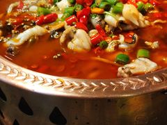 -沪小二炭火蛙锅(淮海中路美食不夜城店)