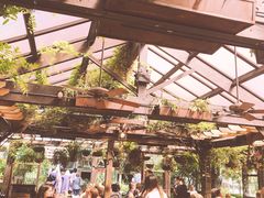 -The Grounds of Alexandria