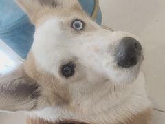 -平行世界·猫咖(首经贸店)