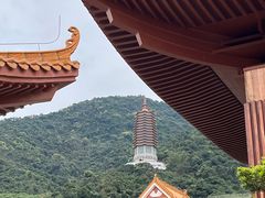 -深圳仙湖植物园