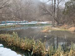 -白水寺森林公园