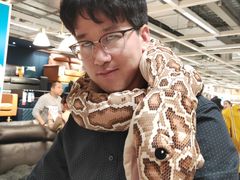 -宜家家居(西安未央商场店)