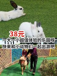 -萌宠亲子动物乐园(槐房万达店)