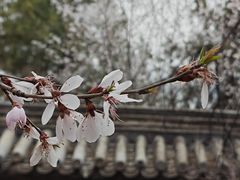 -颐和园