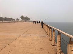 -东疆建设开发纪念公园