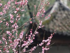 -郭庄景区