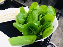 -一代菌王·竹荪鹅(江苏旗舰店)