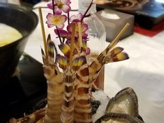 -鲜入围煮花胶鸡海鲜火锅