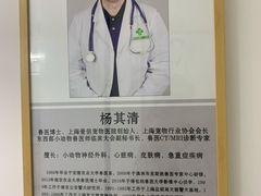 -爱侣宠医·鹦鹉专科·小型哺乳类·异宠专科(灵石路店)