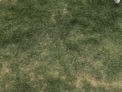 -云栖山谷露营地·团建年会·生日派对