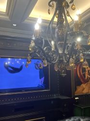 -鼎极摄影(蓝色港湾店)
