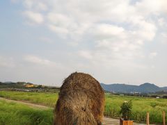 -光明小镇欢乐田园