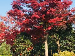 -世博源公馆·本帮融合菜·主题包厢·江景餐厅