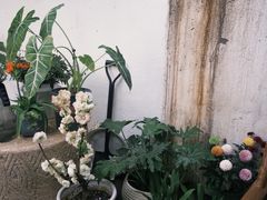 -铁炉咖啡(河下古镇店)