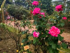 -国家植物园南园