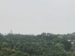 -北京园博大酒店