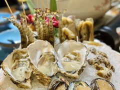 -金龙·打边炉(南京西路店)