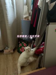 -花岐款式专研健康美甲沙龙