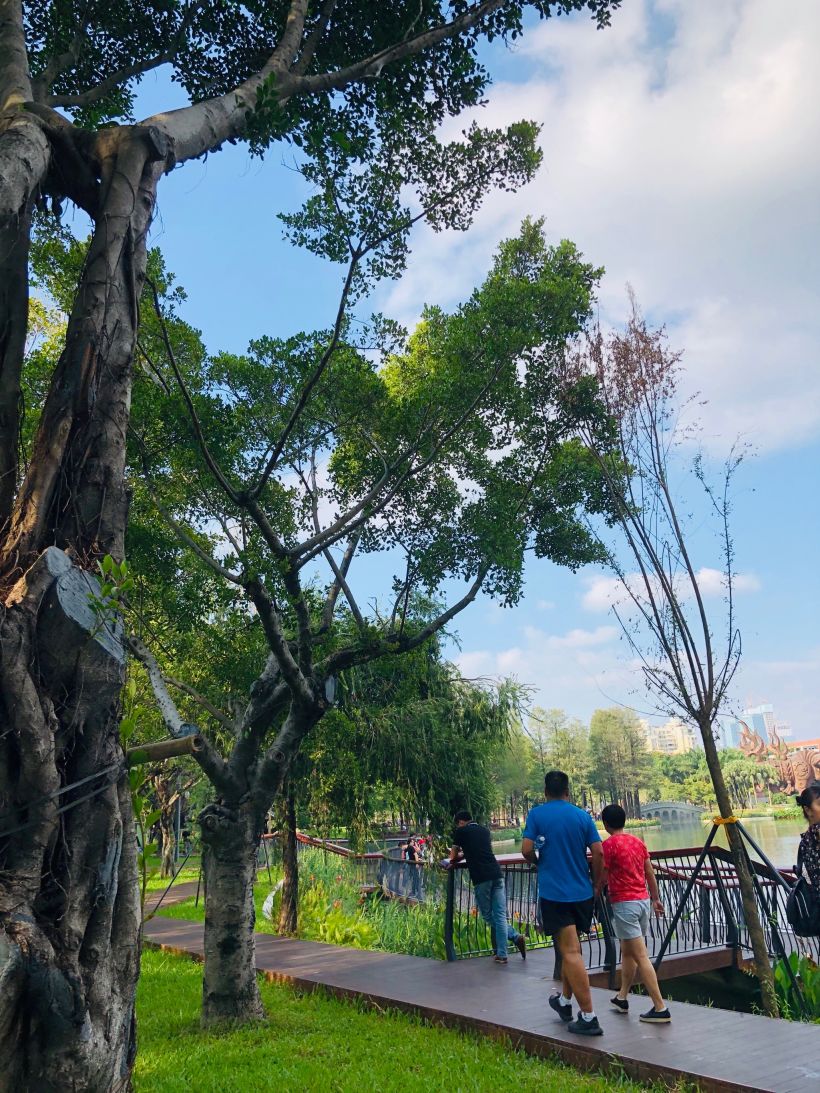 蛇口人的回憶 四海公園開放啦!-深圳吃喝玩樂-大眾點評社區