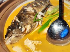 老豆腐鱼头-莘府·老豆腐鱼头·建德菜(金马店)