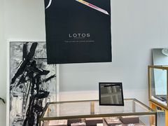 -大视光学•LINDBERG林德伯格•全球手工眼镜集合店(王府井店)
