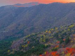 -香山公园