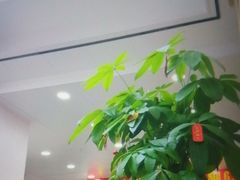 -郑远元专业修脚房(田贝二路店)