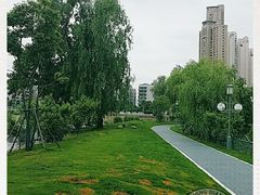 -月湖风景区