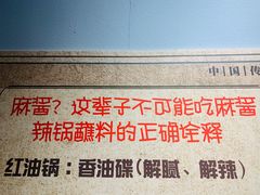-杨家火锅(国美店)