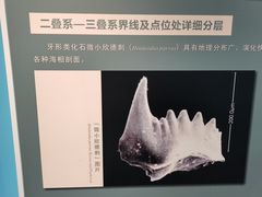 -金钉子远古世界景区